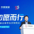 华夏基金000041,稳健业绩与全球视野的QDII基金解析