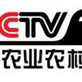 cctv9在线直播观看,探索世界，洞察时代