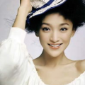 国内明星,璀璨星光下的璀璨人生