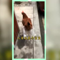 娱乐吃瓜群众酱,揭秘娱乐圈幕后故事