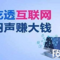 网络 赚钱,探索数字时代的财富新途径