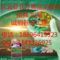 北方商品交易所,构建多元化大宗商品交易新平台